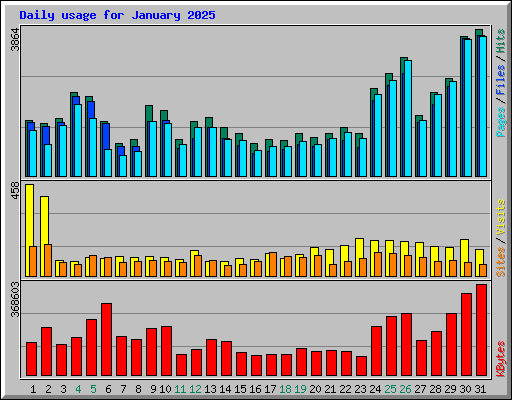 Daily usage for January 2025