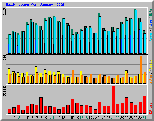 Daily usage for January 2026