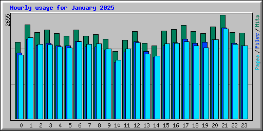 Hourly usage for January 2025