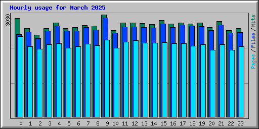 Hourly usage for March 2025