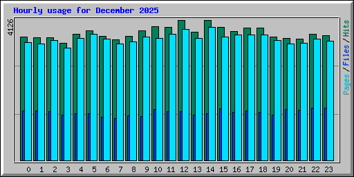 Hourly usage for December 2025