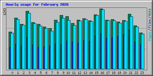 Hourly usage for February 2026